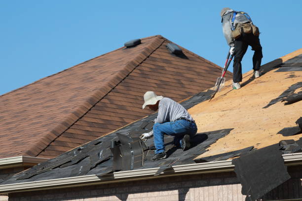 Best Solar Panel Roofing Installation  in , LA